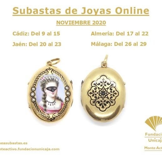 Monte de Piedad Fundación Unicaja - Subasta Noviembre 2020