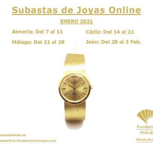 Monte de Piedad Fundación Unicaja - Subasta Enero 2021