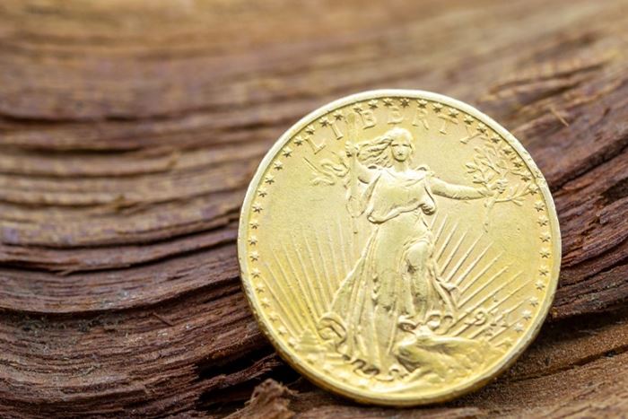 El Monte La Caja de Canarias Subasta octubre 2023 - Moneda veinte dólares en oro amarillo