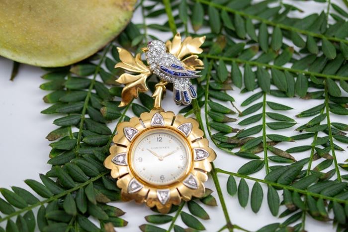 El Monte La Caja de Canarias Subasta febrero 2024 - Broche reloj señora con pájaro