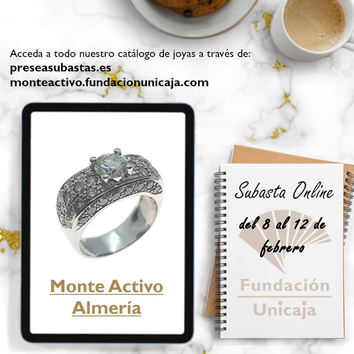 Monte Activo - Subasta febrero 2024 - Almería