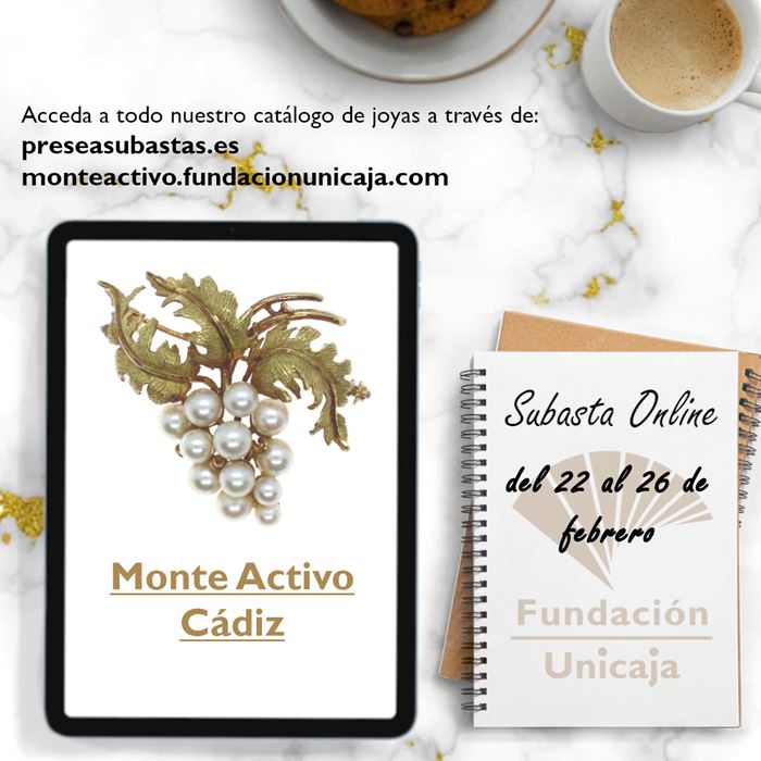 Monte Activo - Subasta febrero 2024 - Cadiz