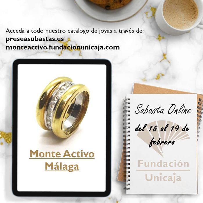 Monte Activo - Subasta febrero 2024 - Málaga