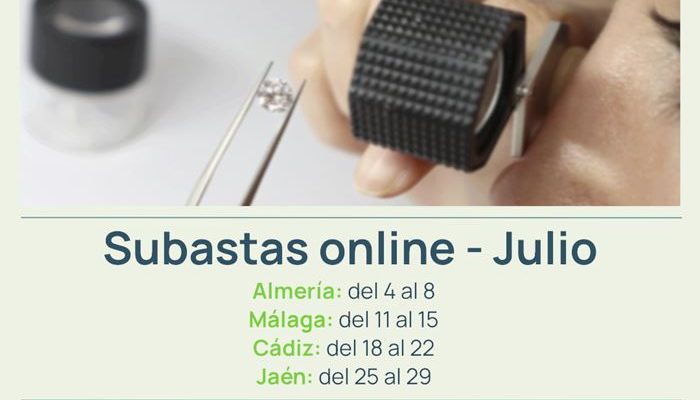 Monte Activo - Subastas online de joyas julio 2024 - Calendario