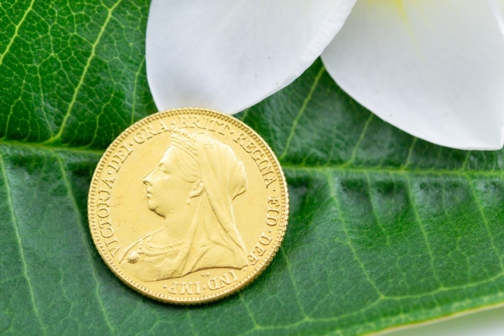 El Monte La Caja de Canarias Subasta agosto 2024 - Moneda oro amarillo