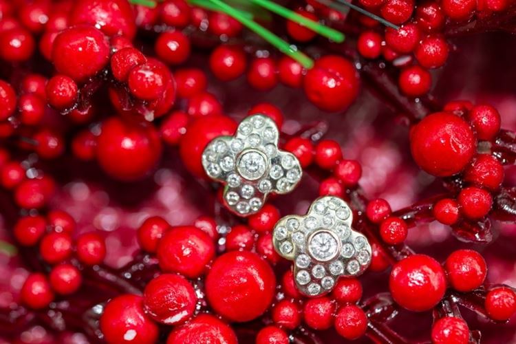 El Monte La Caja de Canarias Subasta diciembre 2024 - Pendientes