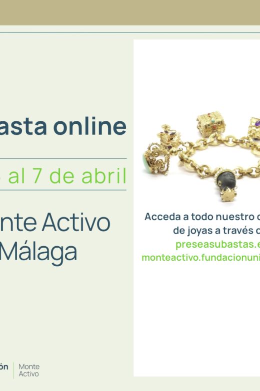 Monte Activo - Subasta Abril 2025 - Málaga