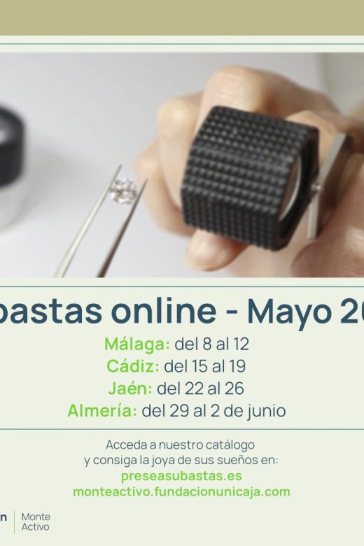 Monte Activo - Subastas Mayo 2025