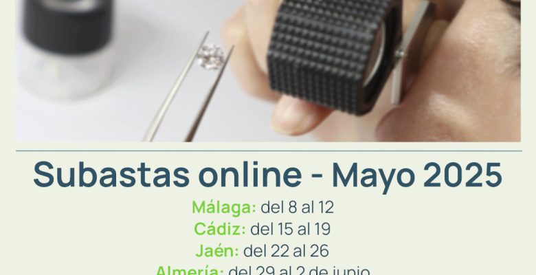 Monte Activo - Subastas Mayo 2025