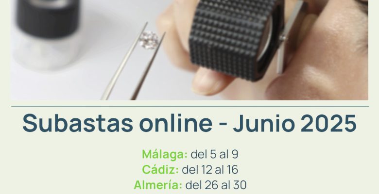 Monte Activo - Subasta Junio 2025