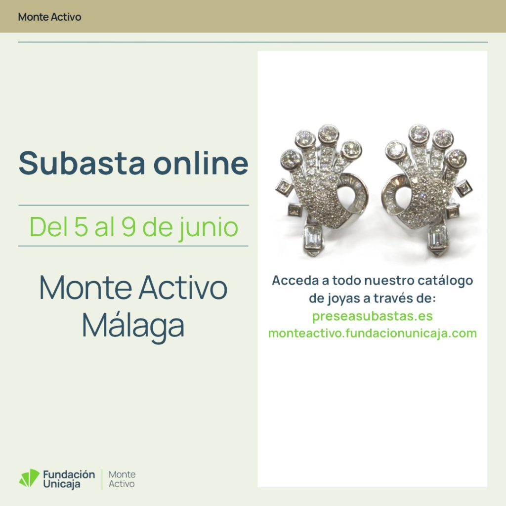Monte Activo - Subasta Junio 2025 - Málaga