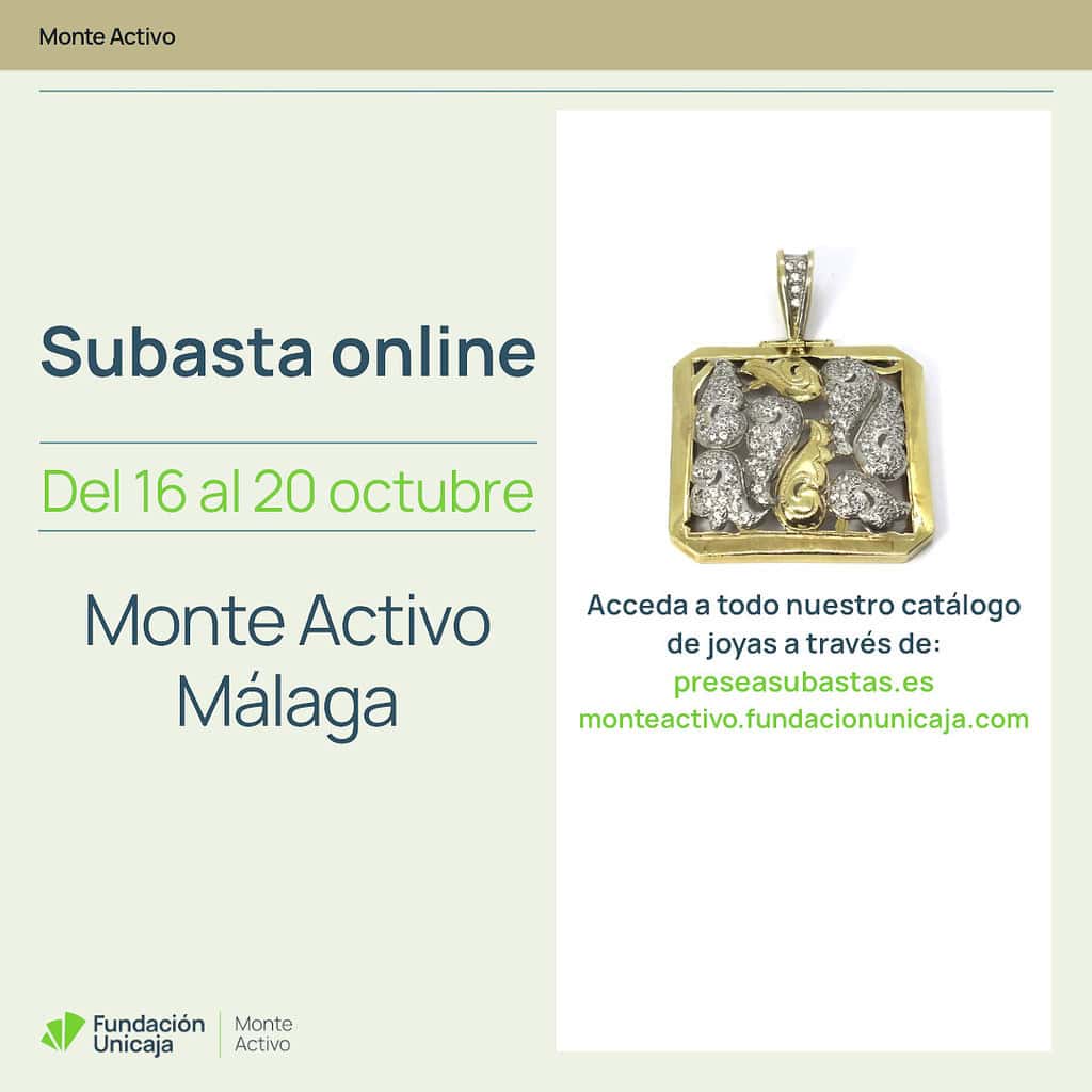 Monte Activo - Subasta octubre 2025 - Málaga