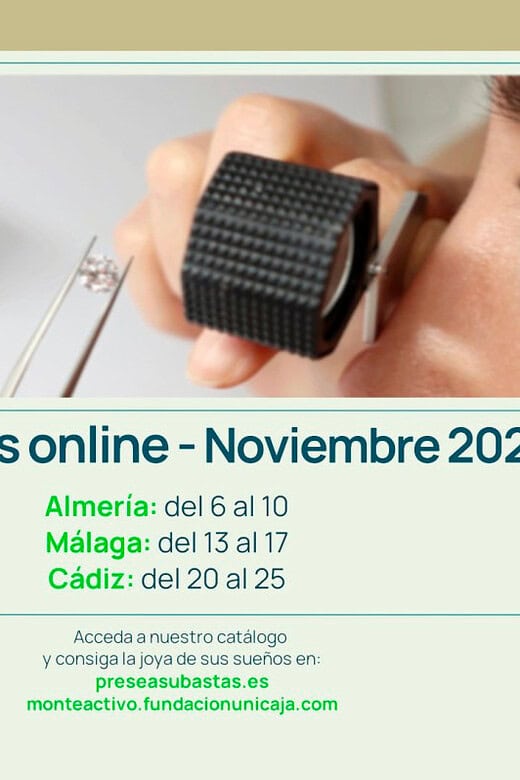 Monte Activo - Subasta noviembre 2025 - Calendario