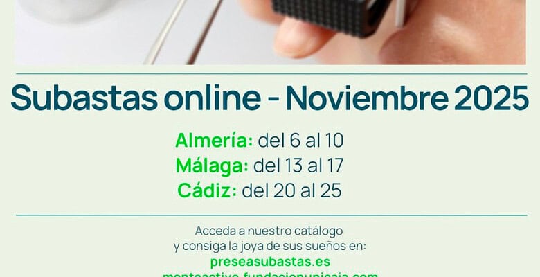 Monte Activo - Subasta noviembre 2025 - Calendario