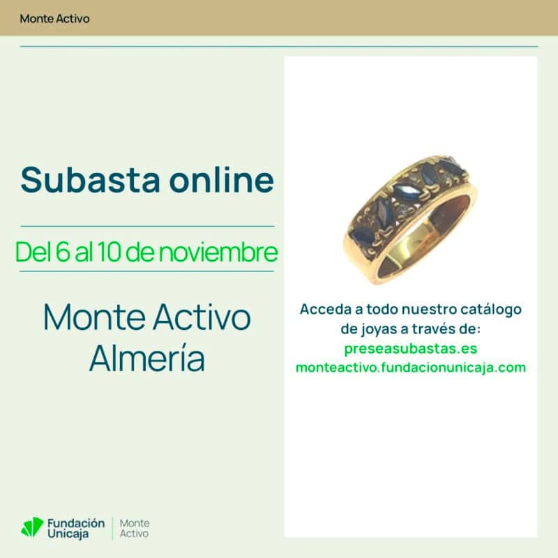 Monte Activo - Subasta noviembre 2025 - Almería