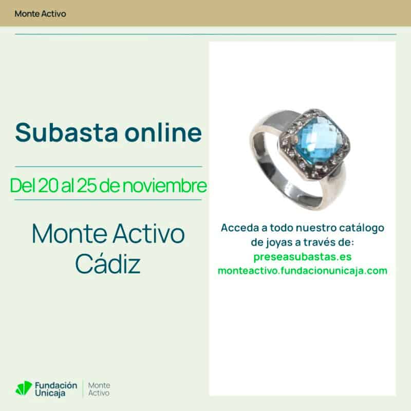 Monte Activo - Subasta noviembre 2025 - Cádiz