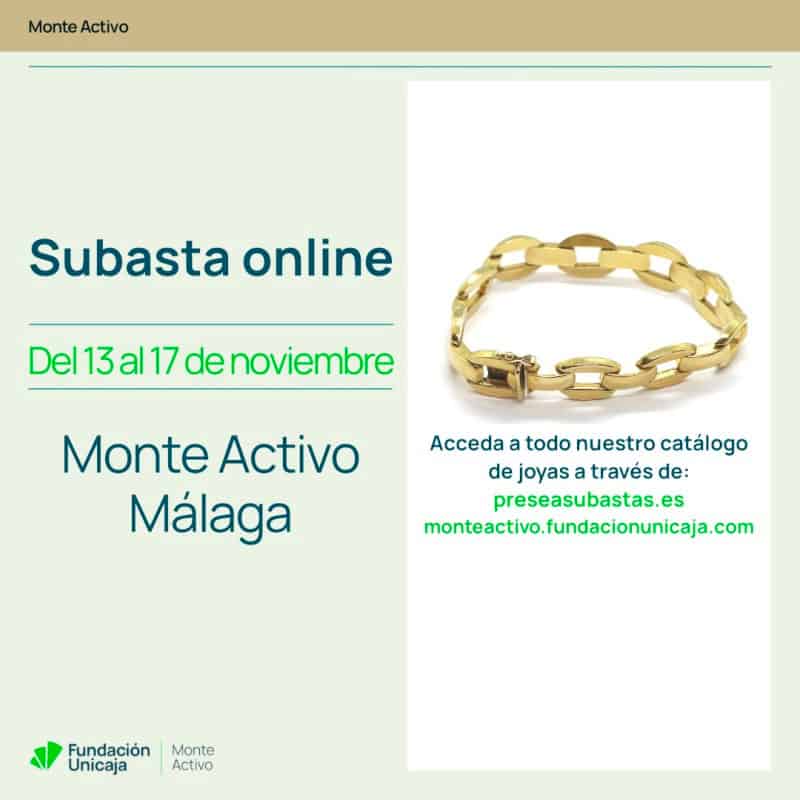 Monte Activo - Subasta noviembre 2025 - Málaga