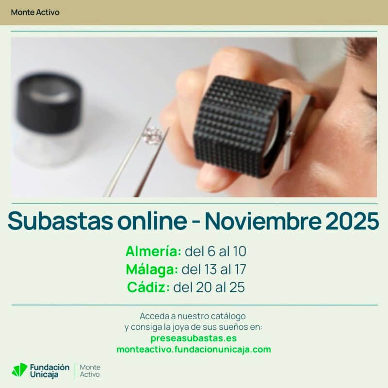 Monte Activo - Subasta noviembre 2025 - Calendario