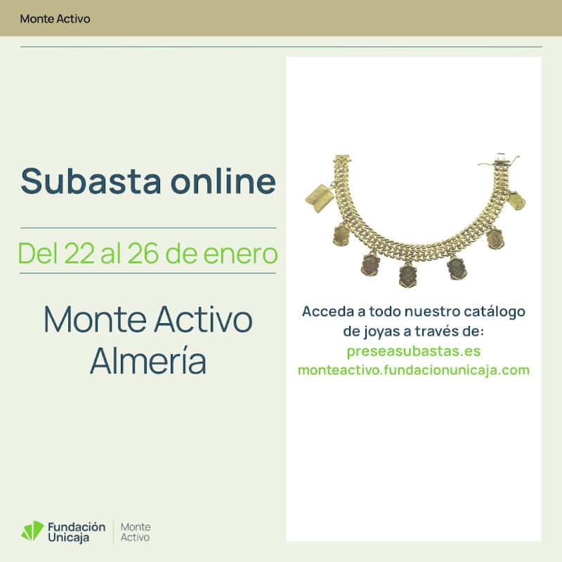 Monte Activo - Subastas enero 2026 - Almería