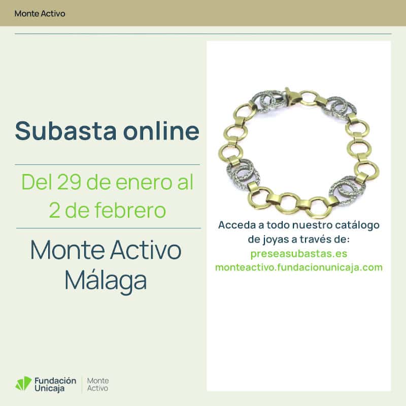 Monte Activo - Subastas enero 2026 - Málaga