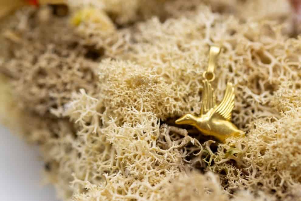El Monte La Caja de Canarias Subasta enero 2026 - Medalla oro amarillo ganso