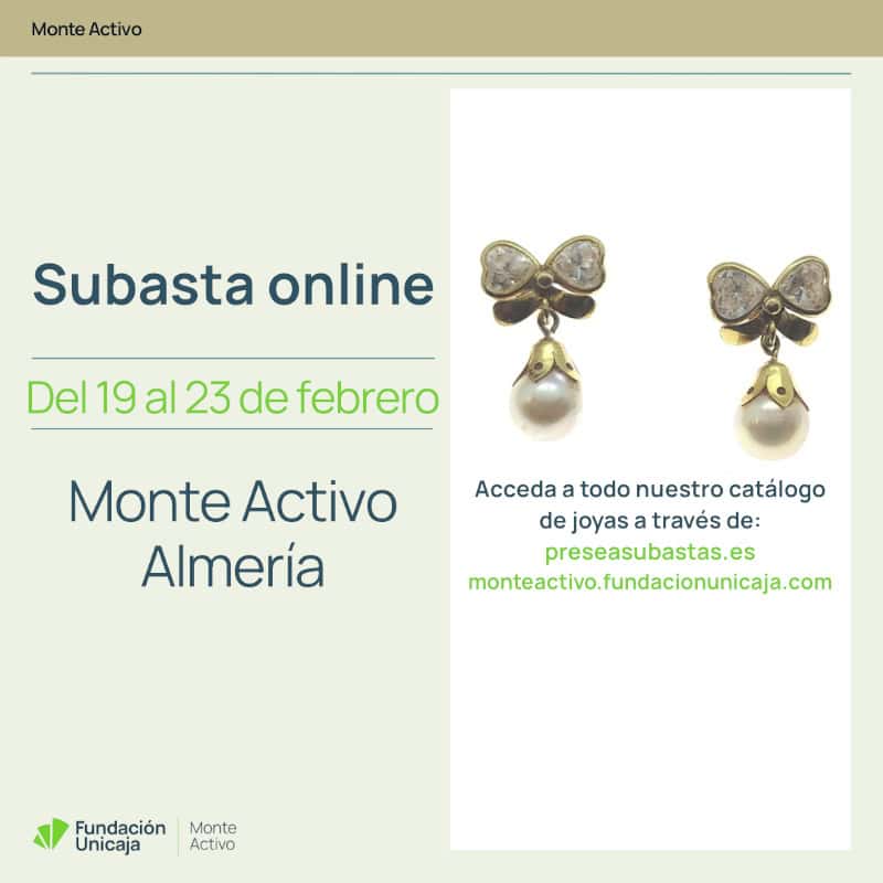 Monte Activo - Subastas febrero 2026 - Almería