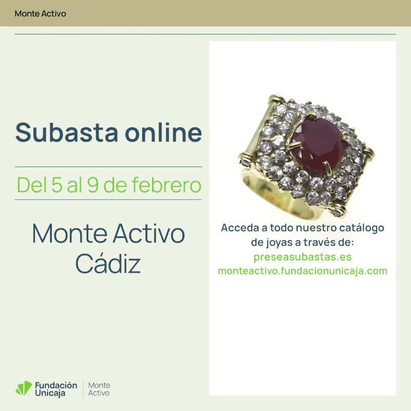 Monte Activo - Subastas febrero 2026 - Cádiz