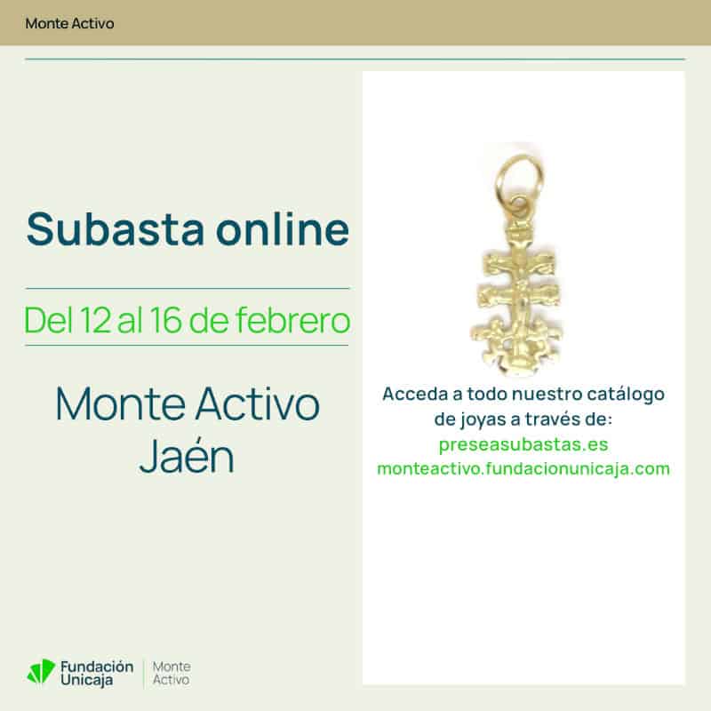 Monte Activo - Subastas febrero 2026 - Jaén