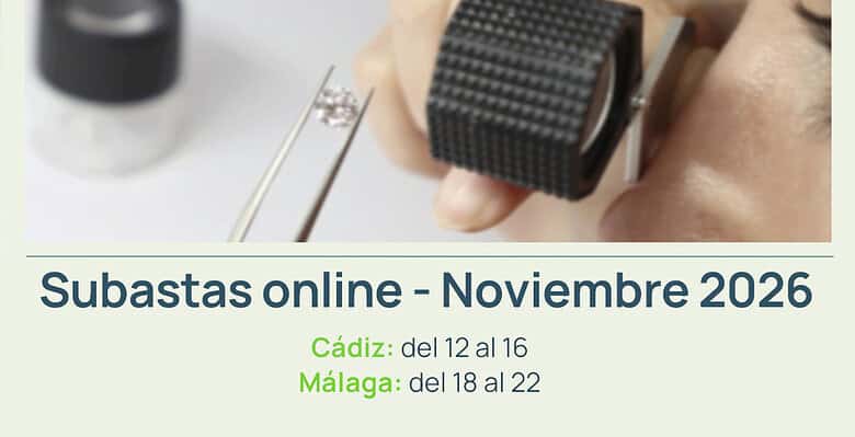 Monte Activo - Subastas noviembre 2026 - Málaga
